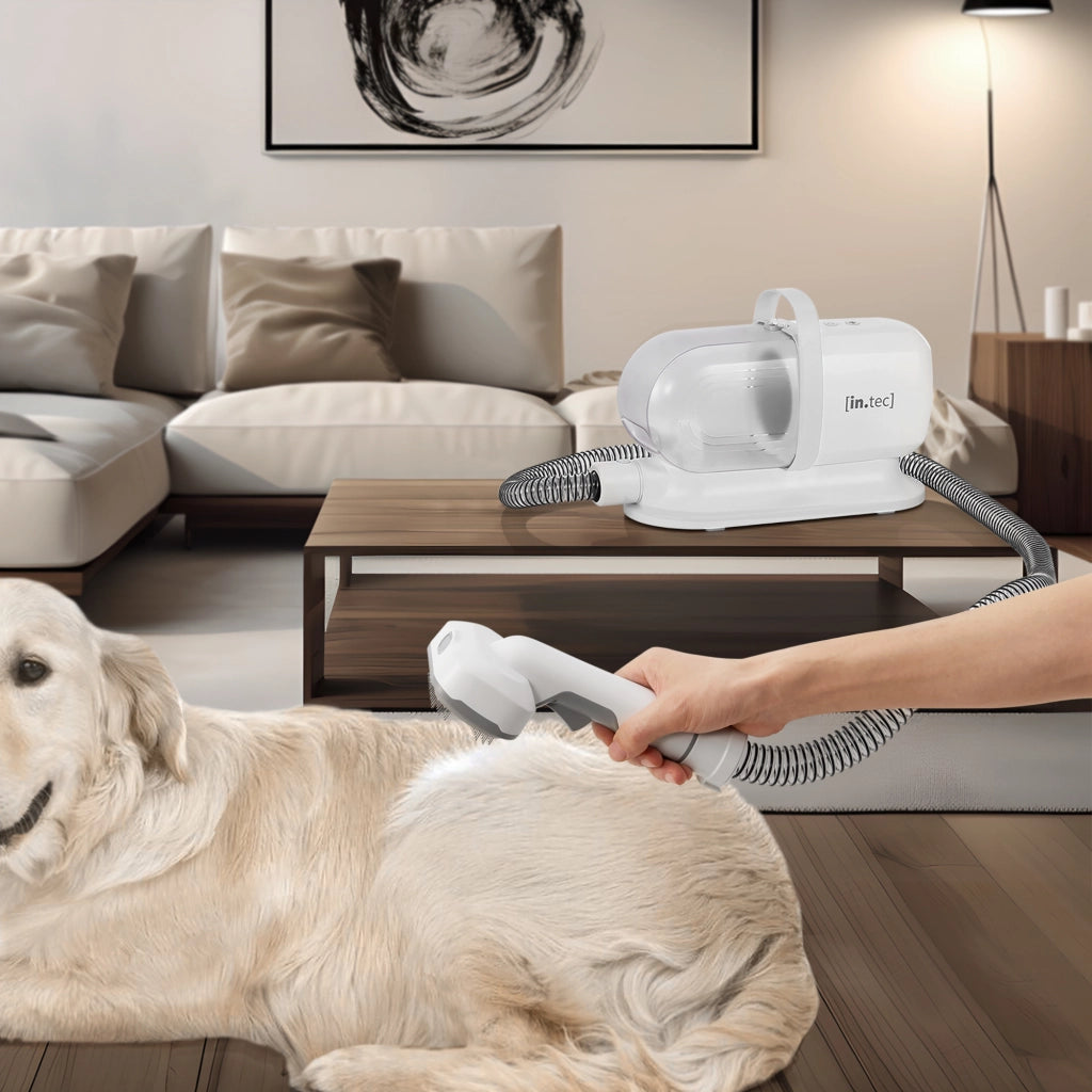 Kit Toelettatura Amesbury 5 in 1 per Animali Domestici - Bianco in.tec
