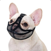 Muilkorf per Bulldog Francese - Copertura Forehead Non-Canino Muilkorf per Cani con Muso Corto - Anti-Mordicchiamento Abbaio Abbaio - Muilkorf Respirante Regolabile (S, Nero)