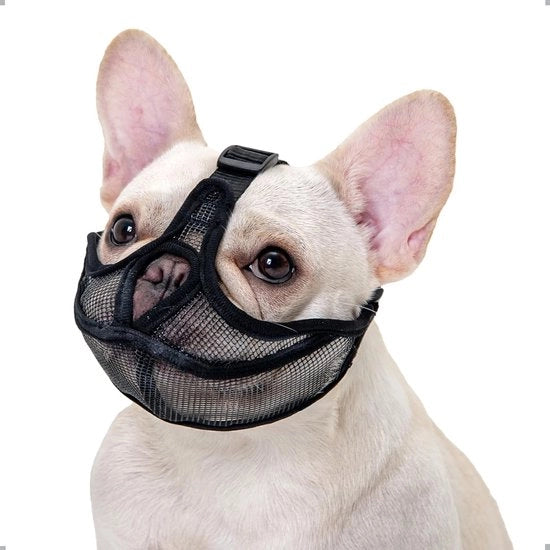 Muilkorf per Bulldog Francese - Copertura Forehead Non-Canino Muilkorf per Cani con Muso Corto - Anti-Mordicchiamento Abbaio Abbaio - Muilkorf Respirante Regolabile (S, Nero)