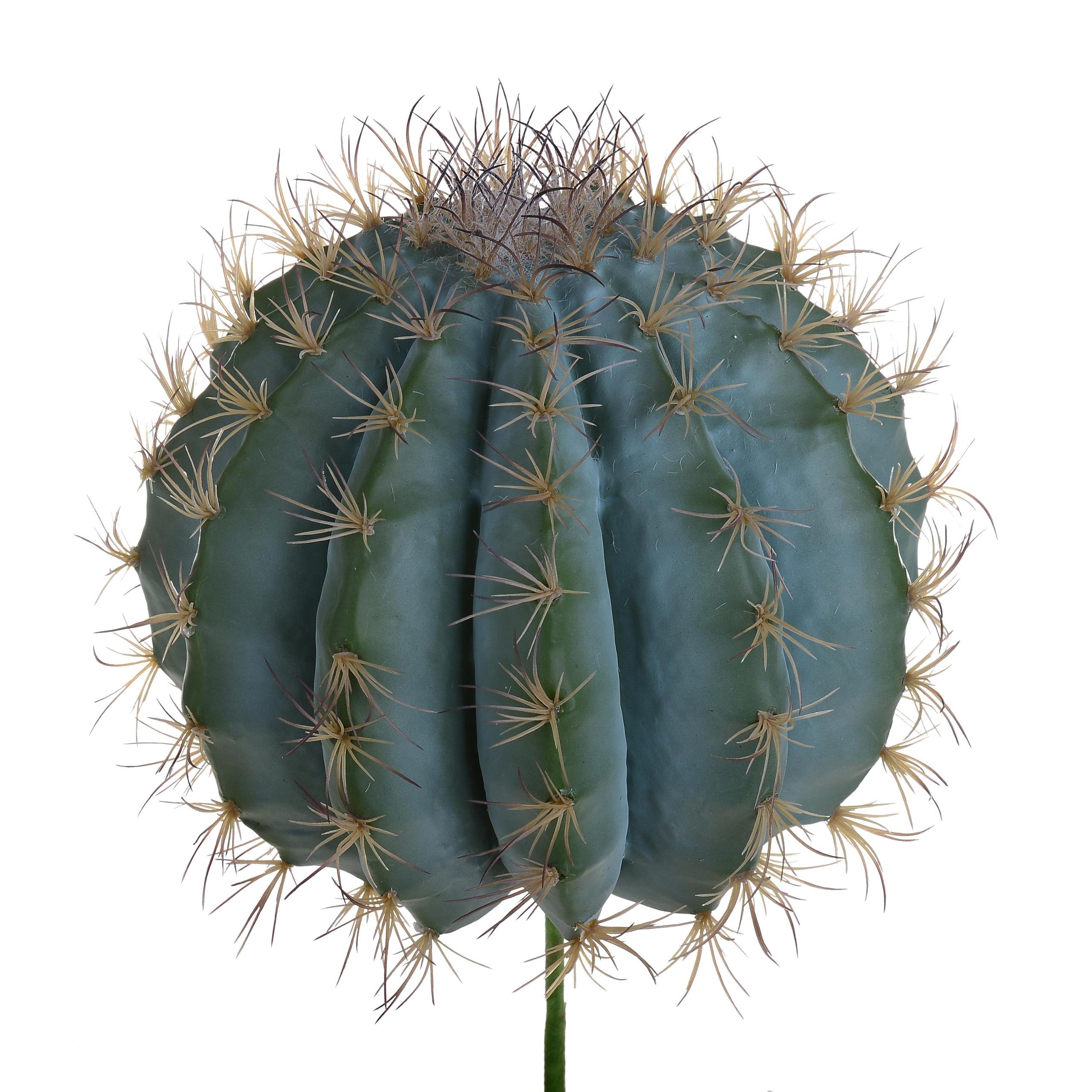 Pianta di Fero Cactus Artificiale