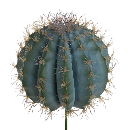 Pianta di Fero Cactus Artificiale