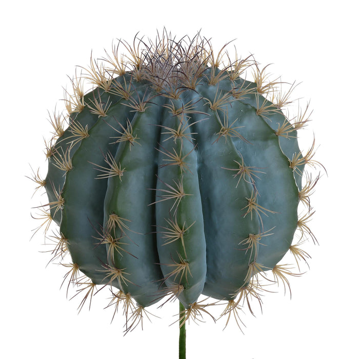 Pianta di Fero Cactus Artificiale