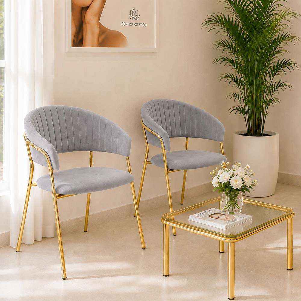 Sedie da sala da pranzo set da 2 Aurelia con schienale in velluto grigio