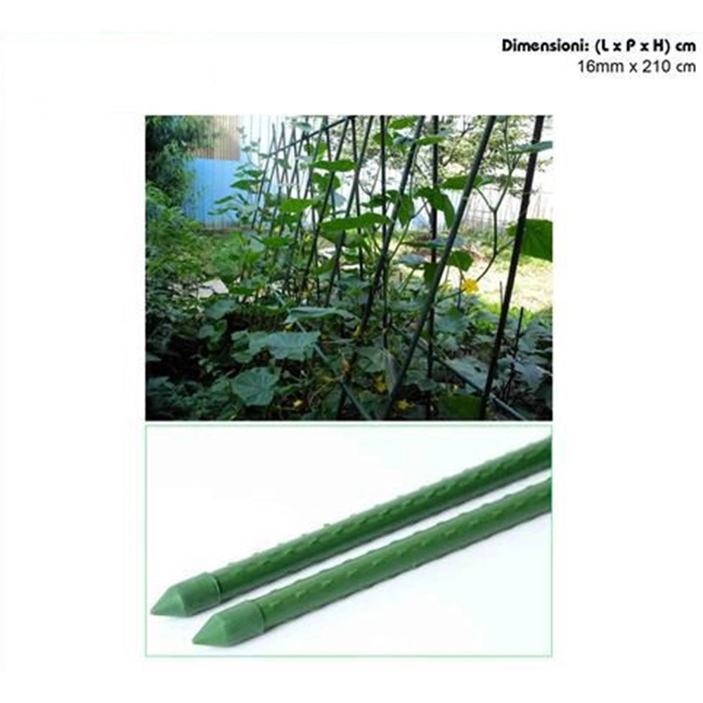 Trade Shop - Set 25 Pali Tutori Canna Per Sostegno Piante Rampicanti Pomodori H210cm ø16mm Grn22 013257 -
