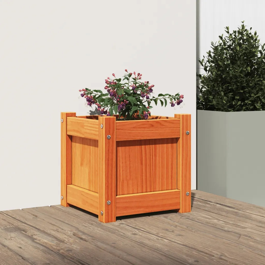 Fioriera Giardino-Vaso da Esterno-Contenitore per Piante Marrone Cera 31x31x31 cm Legno Massello Pino
