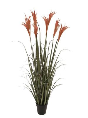 Set di 2 Cesti Frontali Larghezza 35 cm