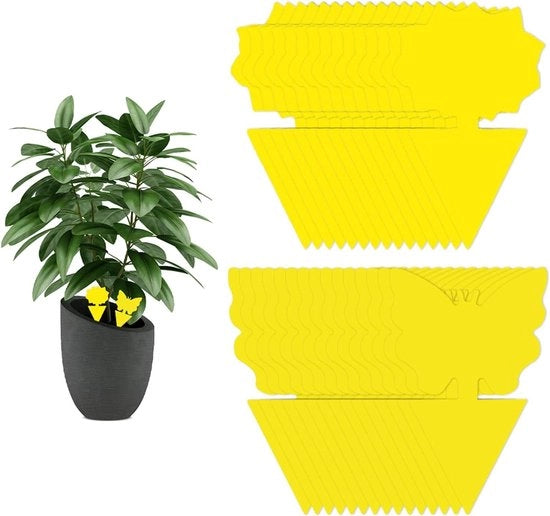 Trappola per insetti per interni - 30 pezzi di reti per insetti - trappola per zanzare per cucina - trappola per insetti con adesivi per cattura insetti - trappola per insetti con presa elettrica - pannelli gialli adesivi per piante