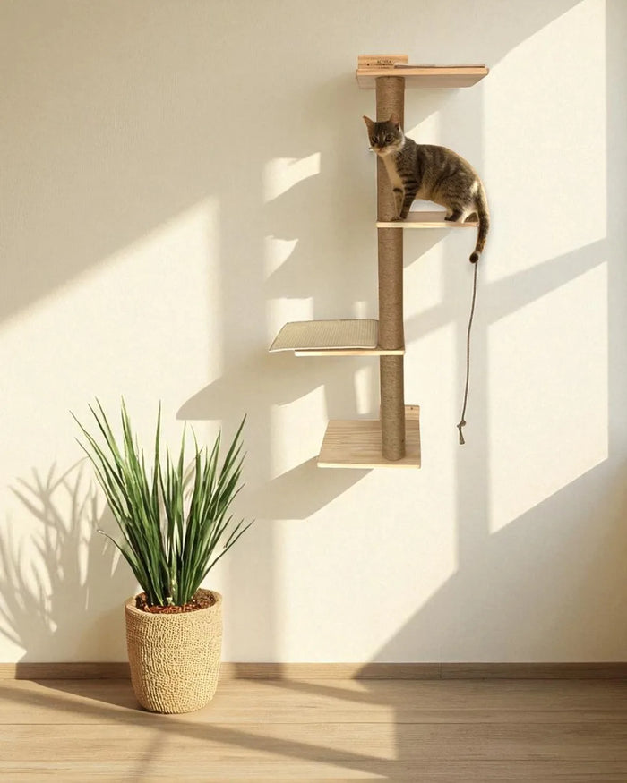 Albero tiragraffi per gatti Salina