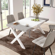 Consolle allungabile, 58 fino 160x90x73cm, Per 8 persone, Gambe in legno, Bianco e grigio cemento RF2736