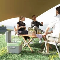 Frigo Portatile da 12 Litri con Compressore, Grigio e Verde