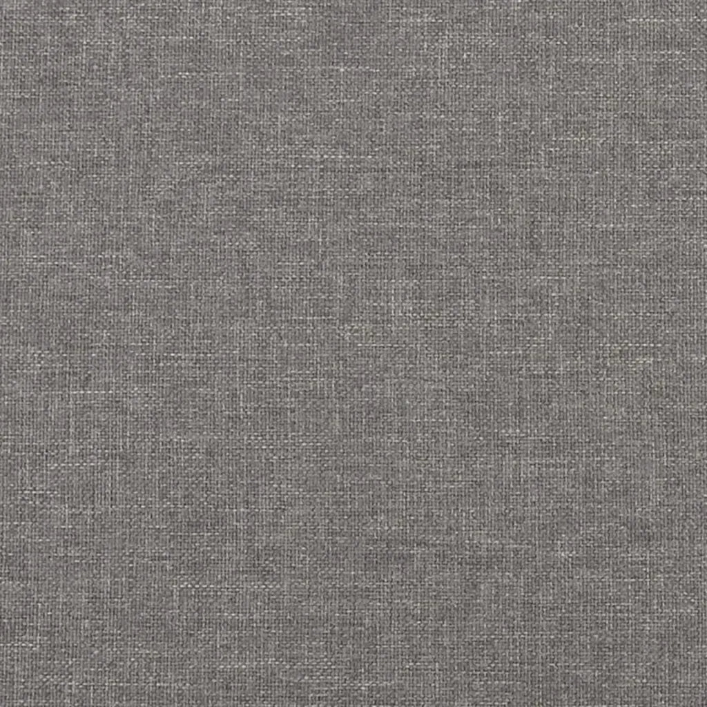 Cuscini Decorativi 2 pz Grigio Chiaro 40x40 cm in Tessuto CFW1648592