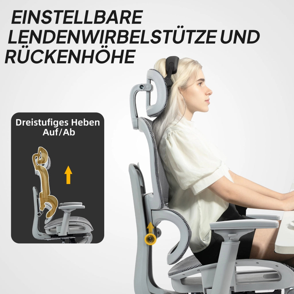 Sedia da Ufficio Ergonomic ¨C Zephmum ¨C Grigio Tessuto Rete