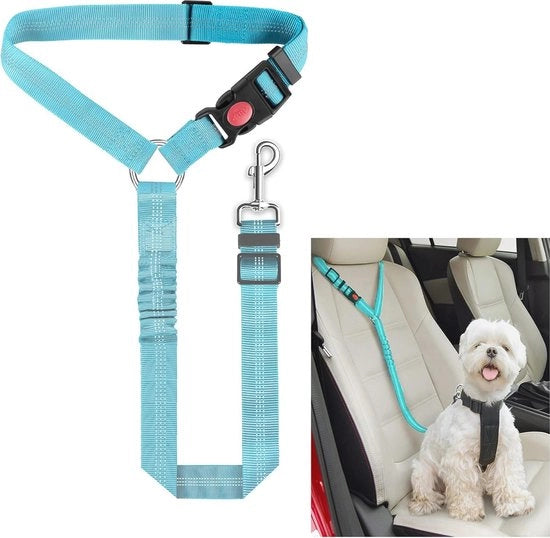 Giravolante per cani - Cintura di sicurezza per animali domestici con molla a bungee