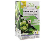 TRAPPOLA PER CIMICE ASIATICA - 1 pezzi INVERDE