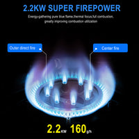 Fornello a Gas 1 Fiamma Portatile con Valigetta per Campeggio Grigio