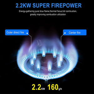 Fornello a Gas 1 Fiamma Portatile con Valigetta per Campeggio Grigio