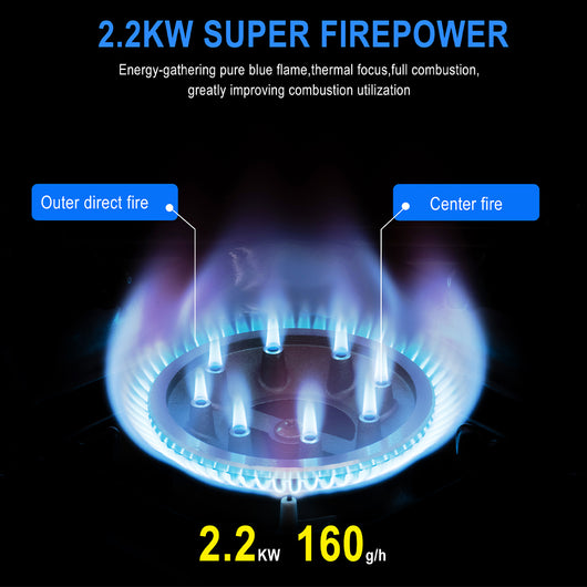 Fornello a Gas 1 Fiamma Portatile con Valigetta per Campeggio Grigio