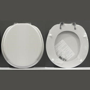 Coprivaso colato globo bonsai sm all b00dxlamew