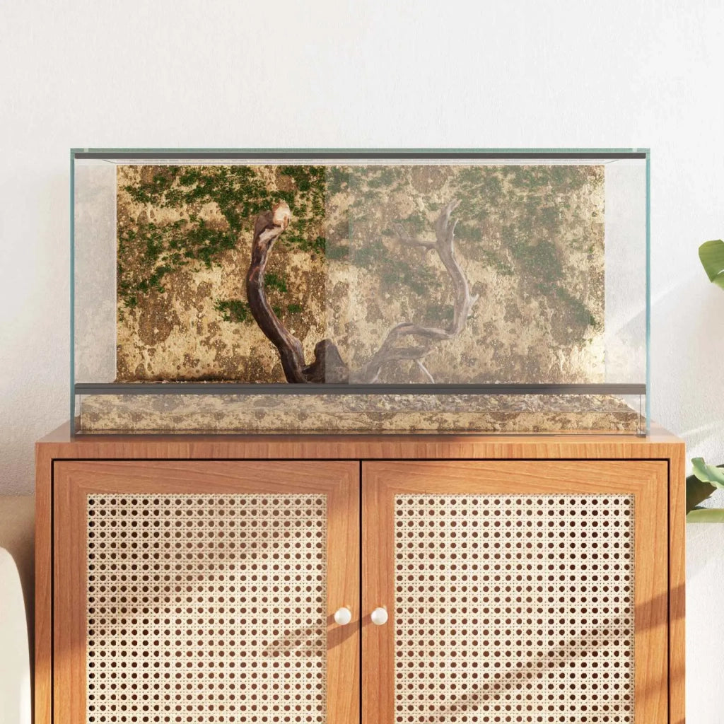 Terrario con archiviazione Trasparente 80 x 40 x 40 cm Vetro