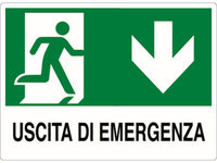 cartello segnaletico uscita di emergenza  cm. 30x20 cod:ferx.vit19054