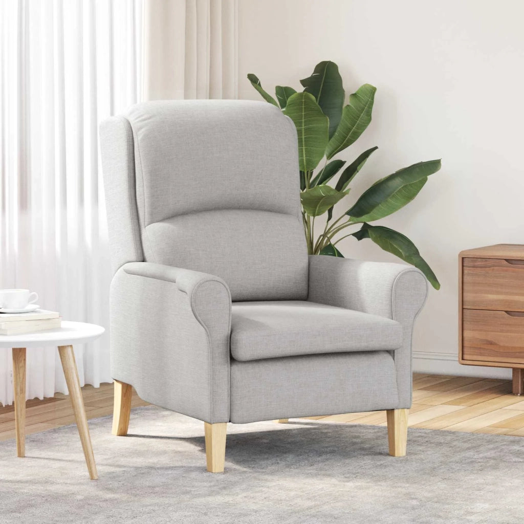 Poltrona-Divano Sedia-Poltroncina Grigio nuvola Tessuto 947228