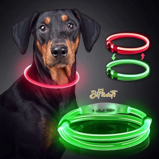 Cani luce – Collare per cani con luce – Lampada per cani - Lasciare fuori il cane – Lampada per cani