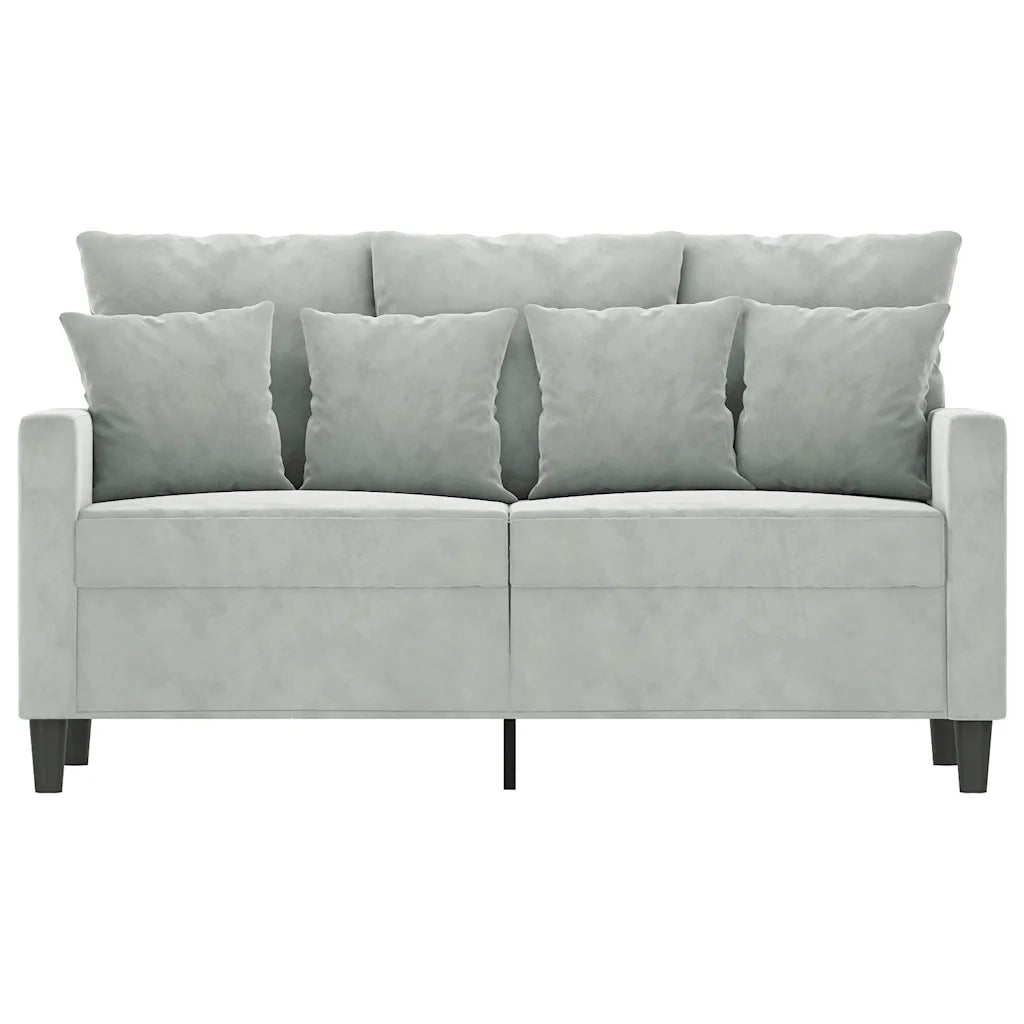 Divano | Divano da soggiorno | Sofa a 2 Posti Grigio Chiaro 120 cm in Velluto