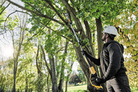 POTATORE AD ASTA E PROLUNGA A BATTERIA DEWALT 18V DCMPS567P1-QW