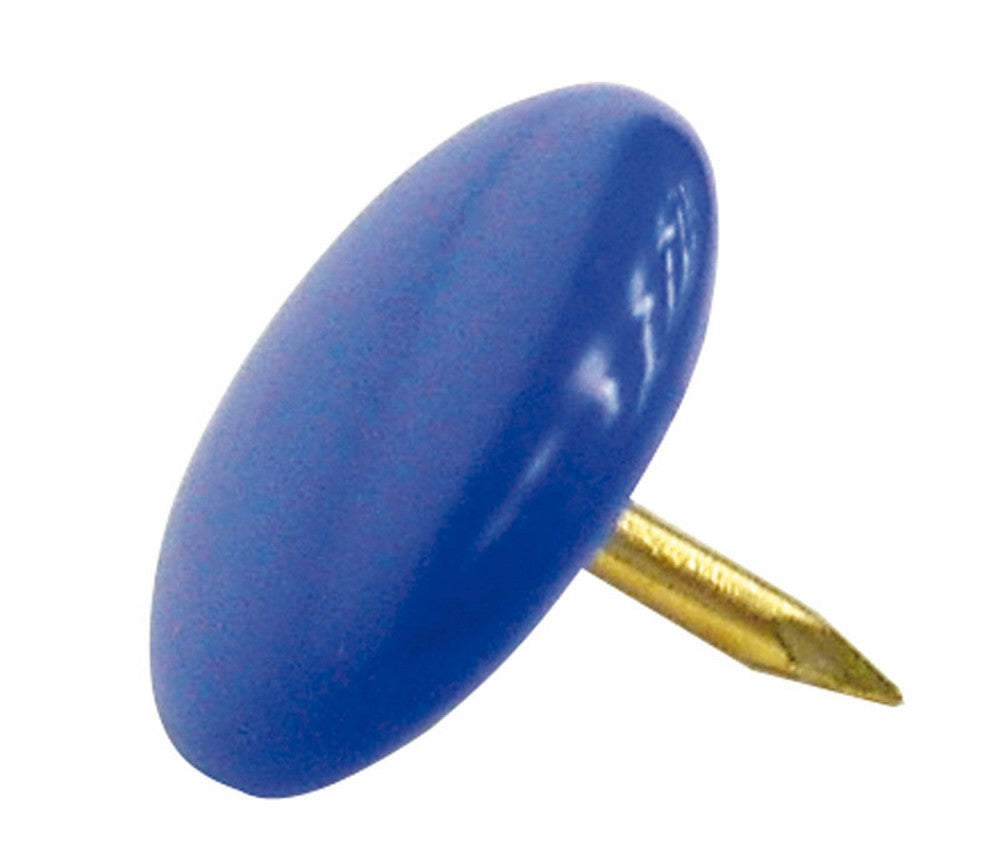 puntina colorata 100 pz.  blu cod:ferx.vit7469