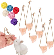Banchi da Lappare per Coniglio Hamster Parrot Chinchi e Pappagallo - Blocco di Sale per Masticare e Gioco
