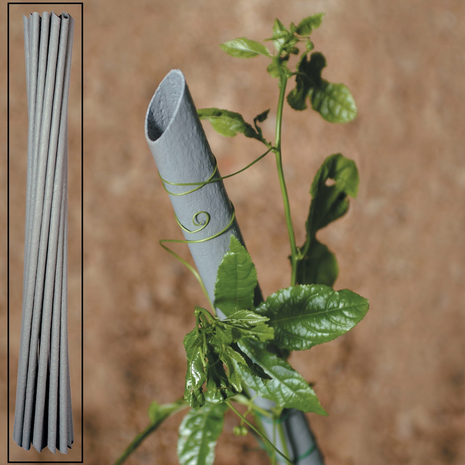 tutore pvc per piante vigna d 27xh210 cm cod:ferx.13734