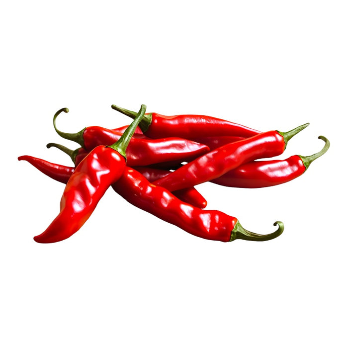 1 Pianta di PEPERONCINO PICCANTE CAYENNA ROSSO vaso 14cm peperoncini