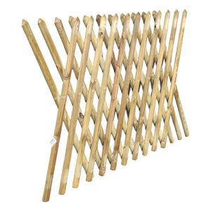 RECINZIONE LEGNO ESTENS.CM.80X250