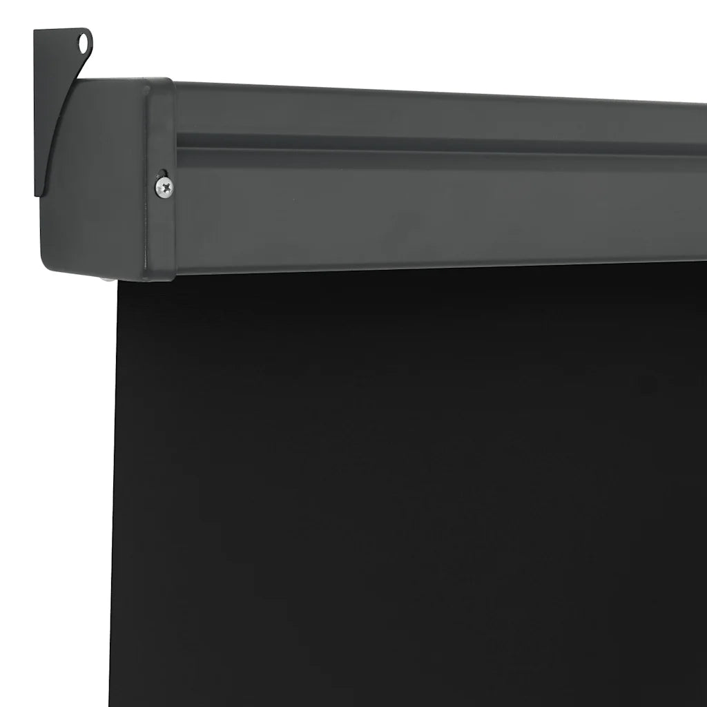 Tendalino Laterale per Balcone 125x250 cm Nero 48418
