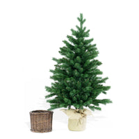 Albero di Natale Ulisse