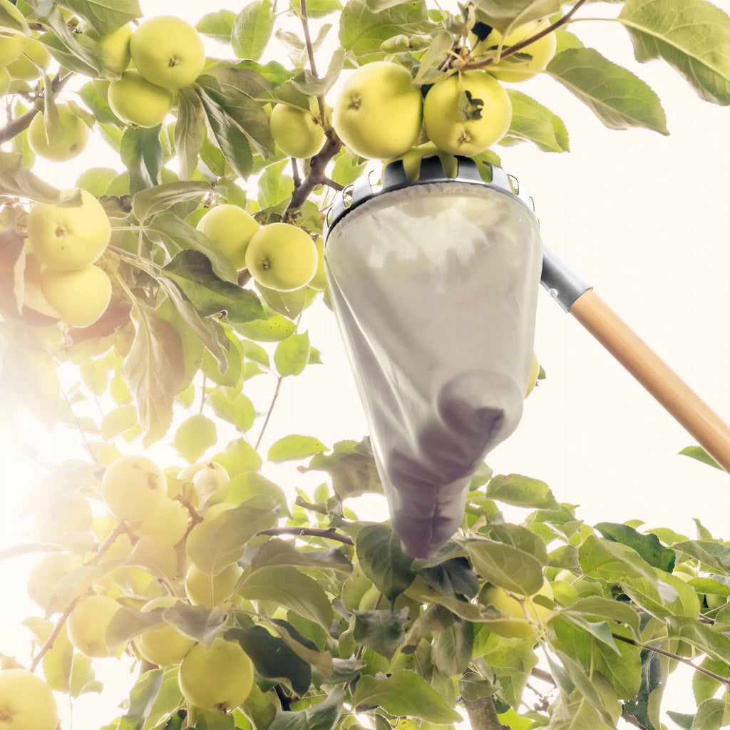 KADAX Raccolta mele e frutta, sacchetto raccogli-frutti da 18 cm senza manico