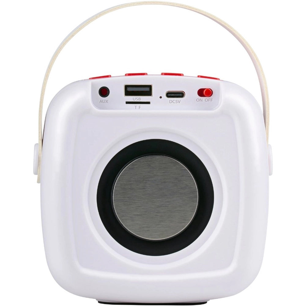 Mini Karaoke per Adulti e Bambini 2 Microfoni Wireless Altoparlante Bluetooth