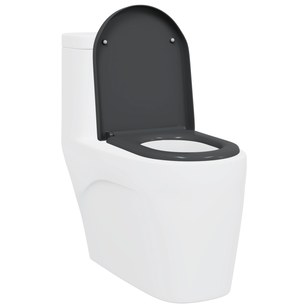 Toilette a rilascio rapido con chiusura morbida in Duroplast Antracite