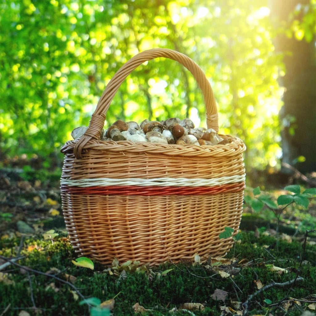 Cesto in vimini KADAX per funghi, spesa, picnic, frutta, vimini, grande, ecologico
