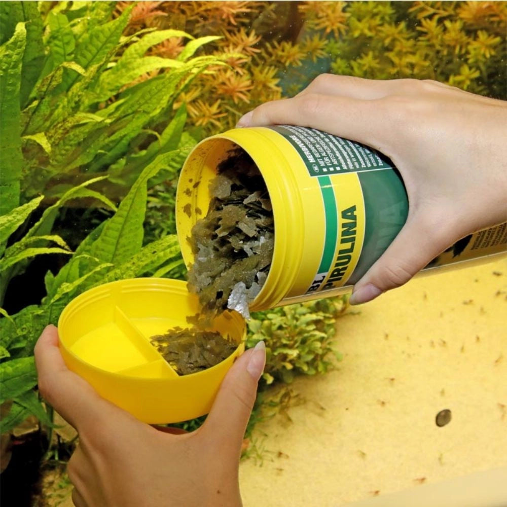 JBL ProNovo Spirulina Flakes M - Mangime in fiocchi a base di spirulina per tutti i pesci da 8 a 20 cm Formato: 1000 ml