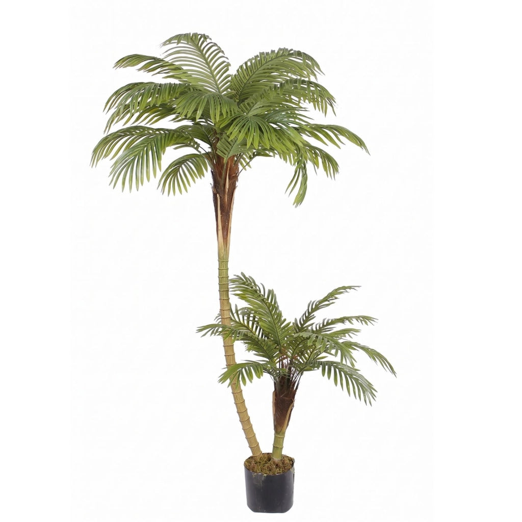 Palma Artificiale Marvin 170 cm con 2 Fusti e 40 Foglie Tropicali, Pianta Decorativa Realistica per Interni e Uffici