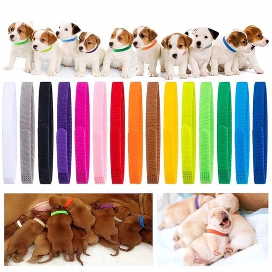 Collare per cuccioli 15 pezzi - Collare nylon adattabile - Identificatore per cani - Collari per cuccioli multicolori - Adatto per neonati - Aiuta l'identificazione