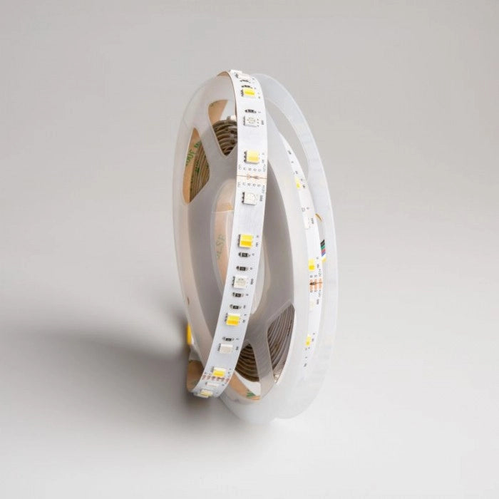 Striscia LED 5m RGB+CCT 14,4W/m 12V IP20 dimmerabile Ecolight