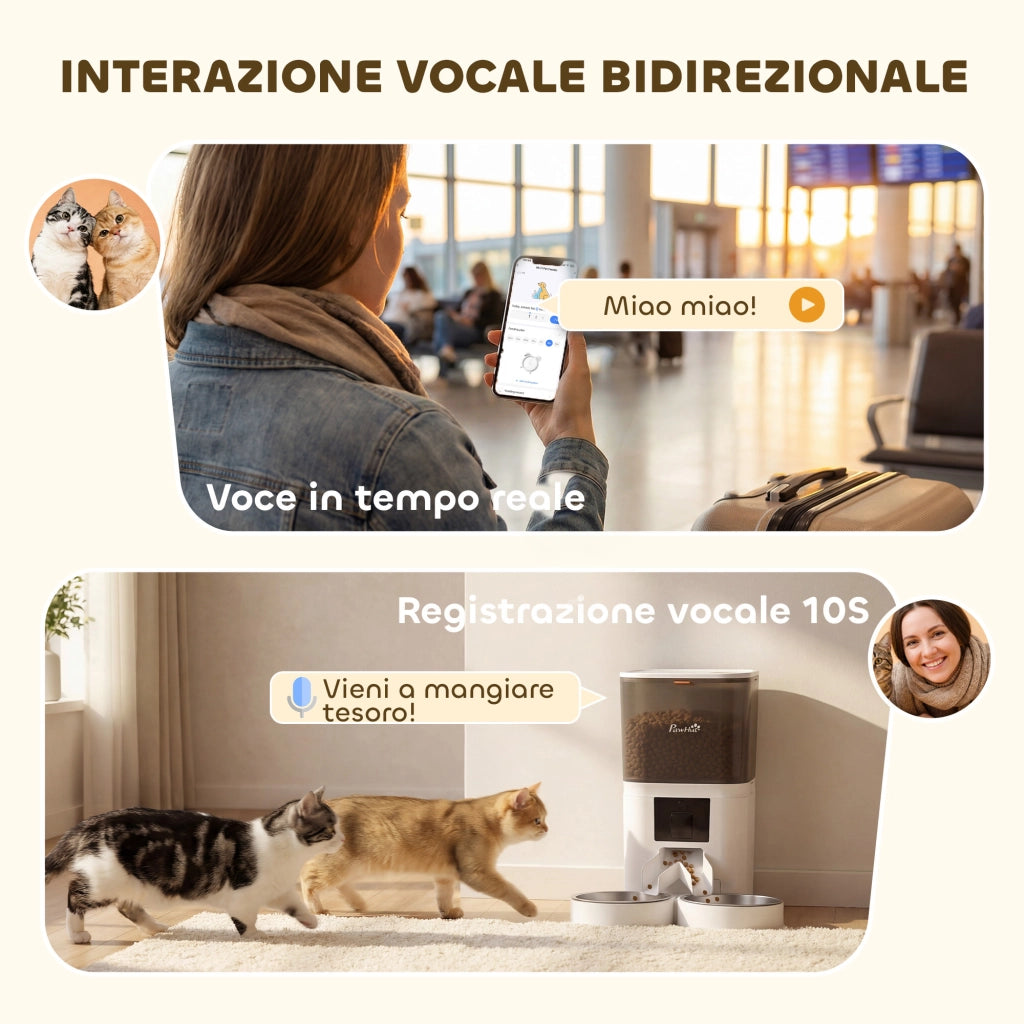 Distributore Cibo Gatti 6L WiFi ¨C zephmum ¨C 2 Ciotole Acciaio Inox