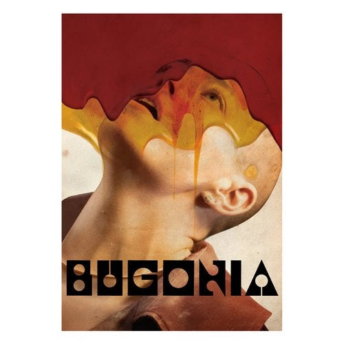 B4k 1191485 bugonia (sb+brd) 1191485