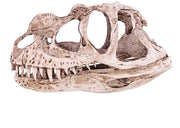 Scheda di Dinosaurio Replica in Hars - Modello Levensecht - Immagine a Schegge - Decorazione - Display per Ufficio - Oggetto da Collezionare - Immagine Decorativa