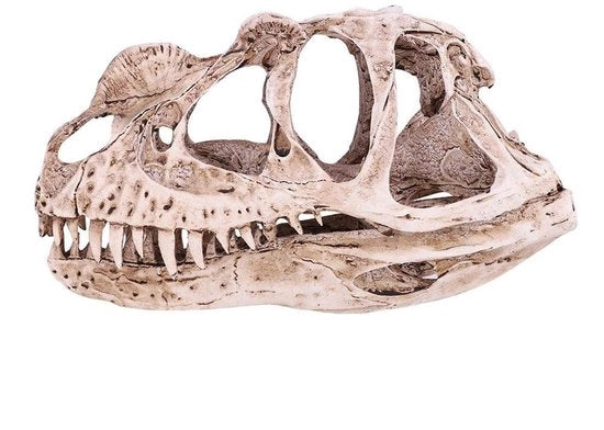 Scheda di Dinosaurio Replica in Hars - Modello Levensecht - Immagine a Schegge - Decorazione - Display per Ufficio - Oggetto da Collezionare - Immagine Decorativa