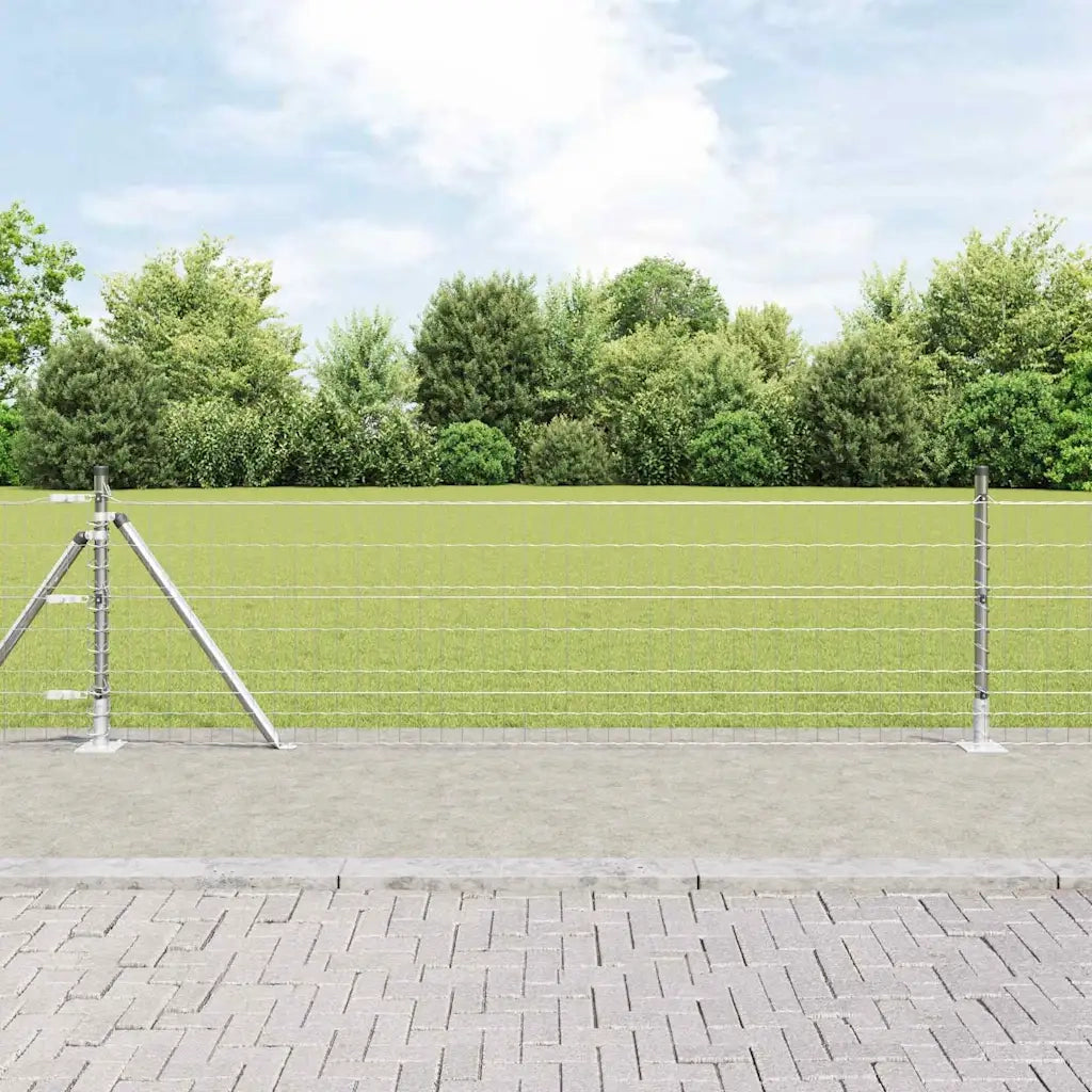 Recinzione da Giardino | Recinzione con Posto Argento 0,6 x 50 m Acciaio