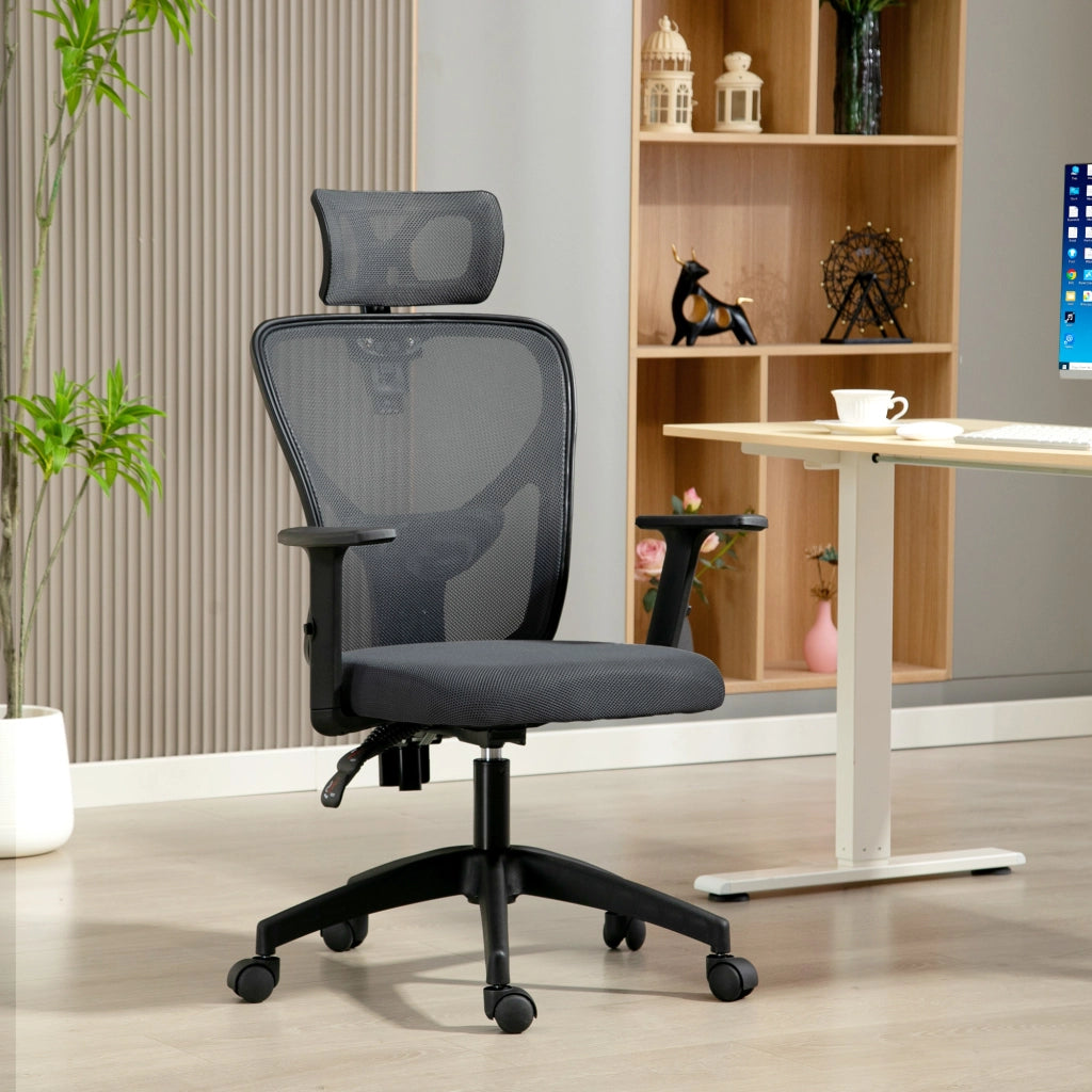 Sedia da Ufficio Ergonomica Regolabile con Schienale e Poggiatesta ¨C Zephmum ¨C Grigio