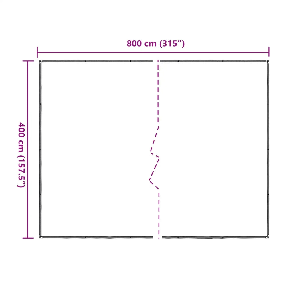 Copertura per Piante Trasparente 4 x 8 m PE CFW7695123